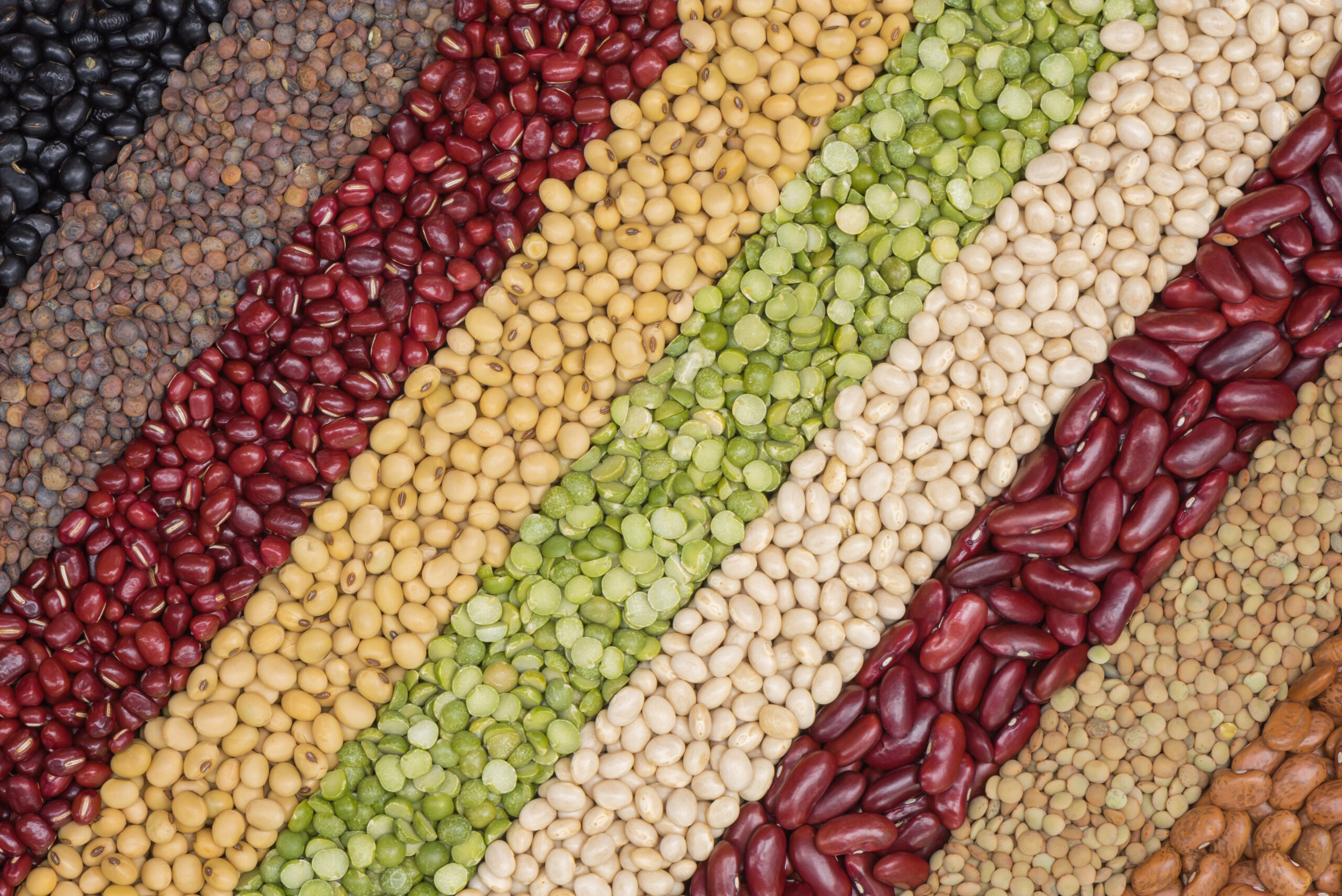 Varietà di legumi e semi provenienti dall'industria alimentare.